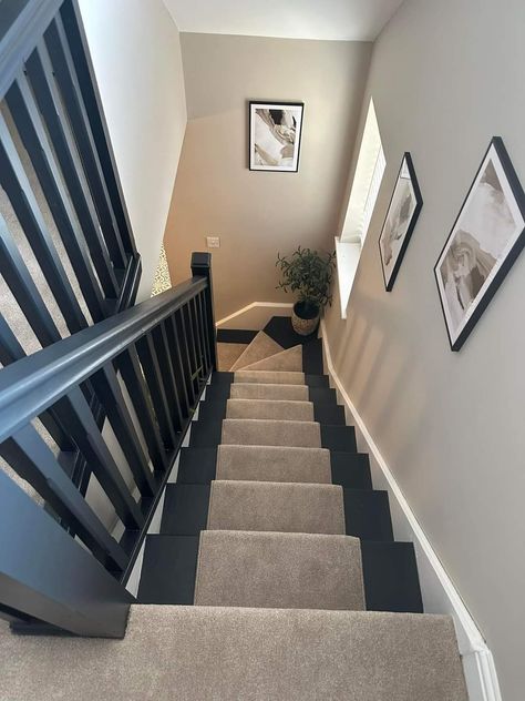 Stairwell Colour Ideas, Hallway Dark Bannister, Coloured Staircase Banisters, Cream And Black Hallway, Grey Bannister, Panelled Hallway Stairs, Stairs And Hallway Ideas Colour, Black Stairway, Black Bannister