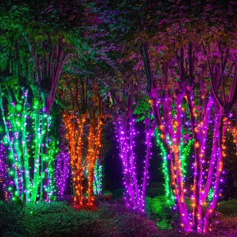 Wrapping Trees with Christmas Lights Halloween Camping, Dekorasi Halloween, Halloween Lights Decorations, Halloween String Lights, Halloween Outside, Christmas Light Installation, Electric Forest, Garden Wallpaper, Halloween Tattoo