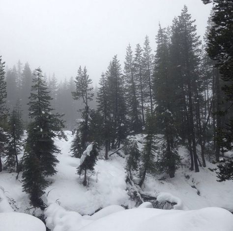 Daena Targaryen, Winter Princess, Winter Fairy, Snowy Forest, Dark Winter, Winter Scenery, Snowy Day, Forest Friends, Winter Forest