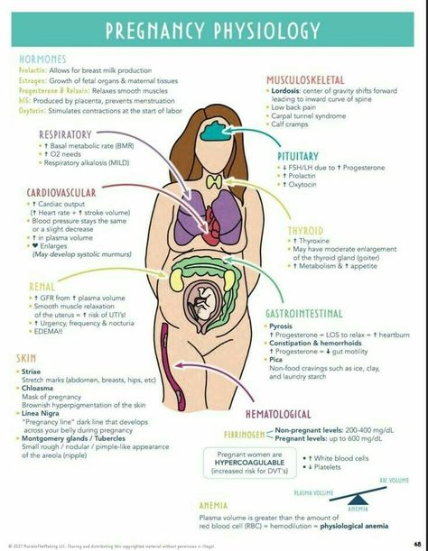 Ultrasound School, Nursing Labs, Medical Assistant Student, Midwifery Student, Ob Nurse, Medical Notes, Student Midwife, Nursing School Essential, Student Tips