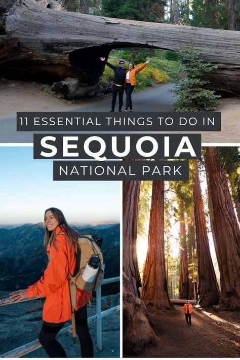 Looking for the best things to do in Sequoia National Park for first-time visitors? Our curated list shares the best hikes, attractions, and hidden gems! Visiting Sequoia National Park, Kings Canyon National Park, National Parks Map, Kings Canyon, Sequoia National Park, Roadside Attractions, National Parks Trip, Us National Parks, Best Hikes