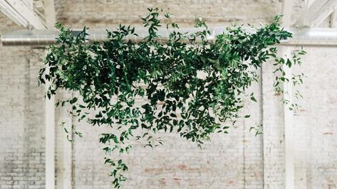 Wedding Reception Ceiling Decor, Reception Ceiling Decor, Wedding Reception Ceiling, Chandelier Greenery, Greenery Installation, Reception Ceiling, Greenhouse Venue, Greenery Wall Decor, Green Tablescape