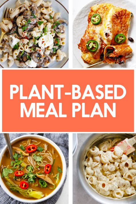 A week of plant based recipes Healthy Fudge Recipe, Plant Based Meal Plan, Kitchen Website, Plant Based Meal, Lentils And Quinoa, Plant Based Meal Planning, Healthy Weeknight Meals, Hearty Dinner, Enchilada Recipes