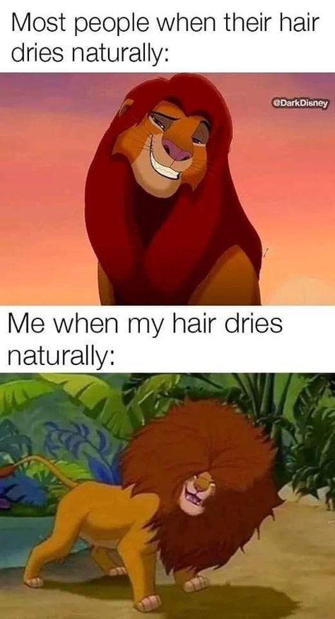 Funny Disney Jokes, Funny Pix, Funny Animal Jokes, Very Funny Jokes, Relatable Post Funny, Extremely Funny Jokes, Funny Animal Memes, Real Funny Jokes, American Beauty