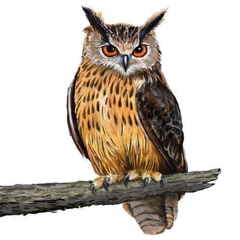 Eagle owl. Eurasian eagle owl digital painting , #Sponsored, #Eurasian, #owl, #Eagle, #painting, #digital #ad Owl Painting Acrylic, Pola Tato, Owl Vector, Owl Canvas, Eagle Owl, Bird Paintings, Owl Tattoo Design, Owl Illustration, Canvas Painting Tutorials