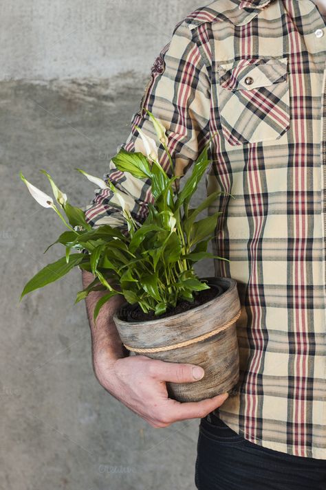 Person Holding Potted Plant Reference, Human Pose, Plant People, Personal Image, People Photos, Human Poses, Flower Plant, Beautiful Backgrounds, Reference Photos