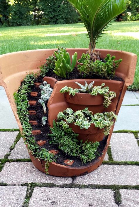 Broken Pot Garden, Kaktus Dan Sukulen, Fairy Garden Pots, Plant Arrangement, Fairy Things, Tanaman Indoor, Plants Diy, Pot Garden, Fairy Garden Designs