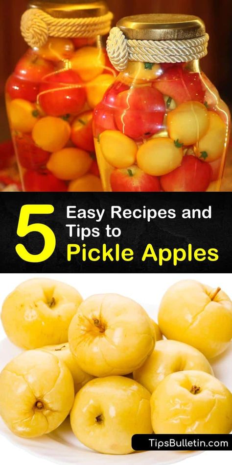 Pickled Apples Recipe, Crab Apple Recipes, Pickled Pears, Pickled Apples, Pickled Fruit, Canning Apples, Preserving Vegetables, Winter Veggies, Apple Recipes Easy