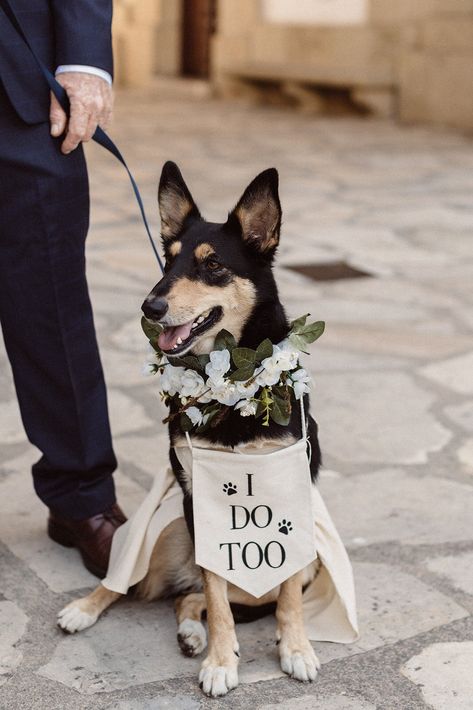 Wedding With Navy Blue, Colorful Outdoor Wedding, Floral Pjs, Navy Blue Napkins, Dog Wedding Outfits, Dog Ring Bearer, Fitted Wedding Gown, Nordic Wedding, Ring Bearer Dog