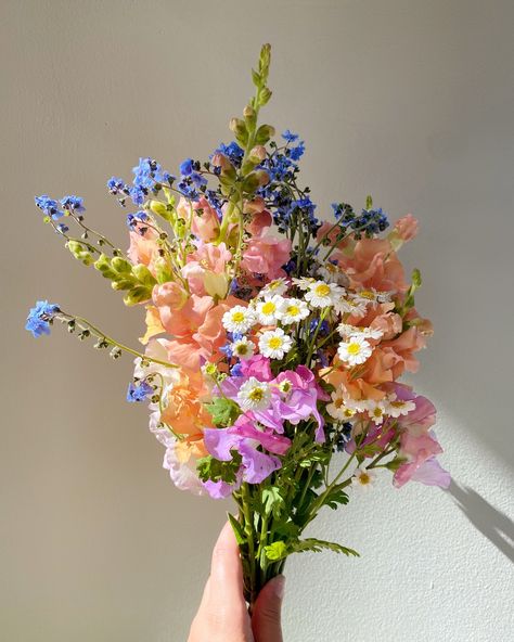 I’ve been a little frazzled all summer but at least I have pretty flowers to show for it 🌸👒☀️🐚🎀 Summer Flowers Wedding, Daisy Bouquets, Wild Flowers Bouquet, Pretty Bouquets, August Flowers, Daisy Bouquet, Boquette Flowers, Aesthetic Flower, Summer Bouquet