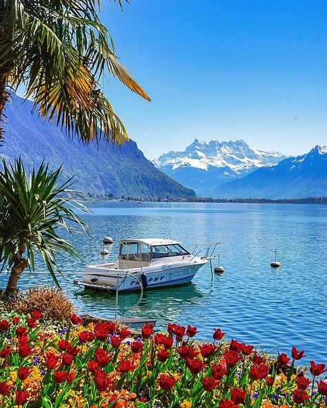 Montreux Switzerland Aesthetic, Switzerland Wallpaper, Switzerland Aesthetic, Montreux Switzerland, Motivational Wallpaper, Family Goals, Beautiful Places To Visit, Freddie Mercury, Travel Bucket List