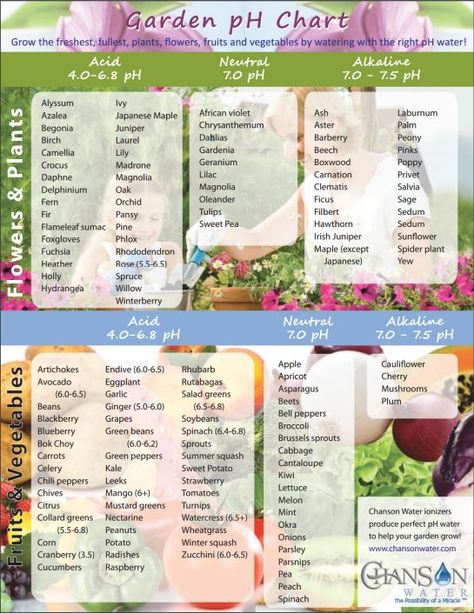 pH garden chart - Chanson Water Garden Chart, Ph Chart, Diy Hydroponics, Hydroponic Farming, Hydroponics Diy, Hydroponic Growing, Tower Garden, Aquaponics System, Soil Ph