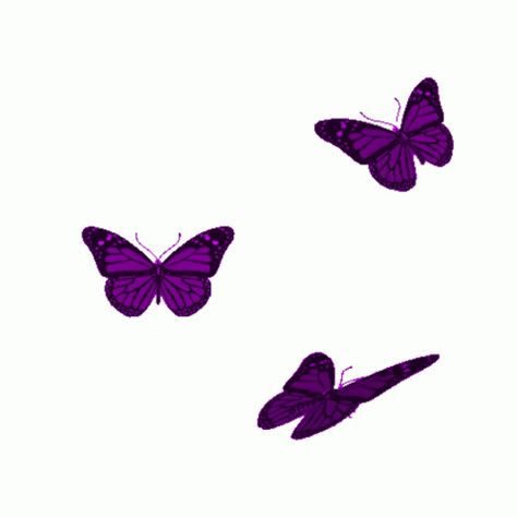 Art Of Butterfly, Gif Gato, Fly Gif, Sparkle Image, Butterfly Gif, Cute Profile, Gif Background, Rainbow Butterflies, Instagram Emoji