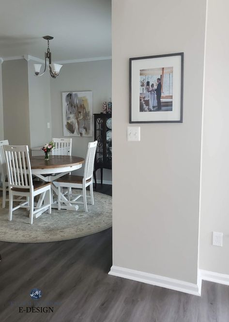 Sw Modern Gray Walls, Kylie M Interiors Sherwin Williams, Greige Modern Living Room, Sw Modern Gray Exterior, White Wall Gray Floor, Sherwin Williams Modern Gray Living Room, Modern Wall Colors Paint, Gray Taupe Paint Colors, Best Wall Colour For Grey Floor