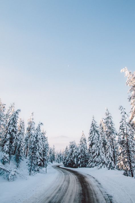 January Vibes, Idaho Winter, Idaho Adventure, Sawtooth Mountains, North Idaho, Enjoy Winter, Aspen Trees, River Bank, Coeur D'alene