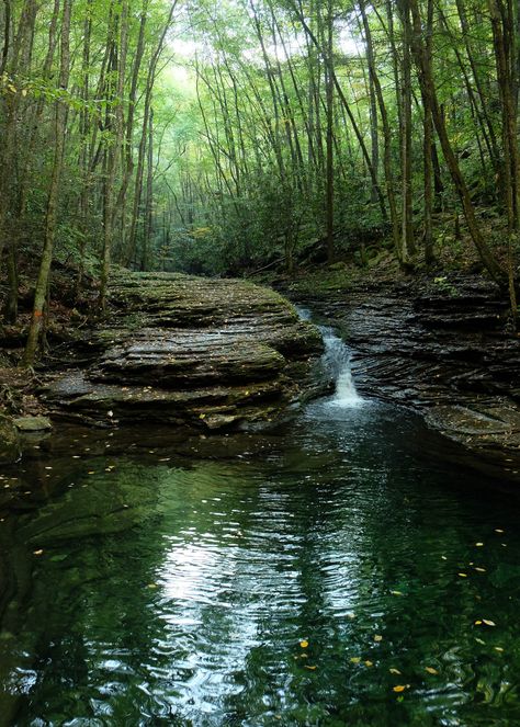 Devil's Bathtub in Fort Blackmore, VA by Corrina Beall - Flickr Devils Bathtub, Break From Reality, Virginia Travel, Virginia Is For Lovers, Hidden Places, 2024 Vision, Camping And Hiking, Summer Months, Pretty Places