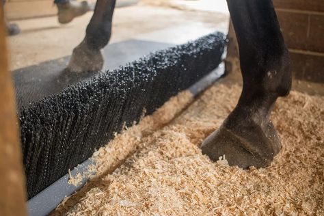 Dream Barn Stables, Horse Tack Rooms, Stable Style, Horse Farm Ideas, Barn Hacks, Diy Horse Barn, Horse Barn Ideas Stables, Barn Stalls, Paddock Paradise