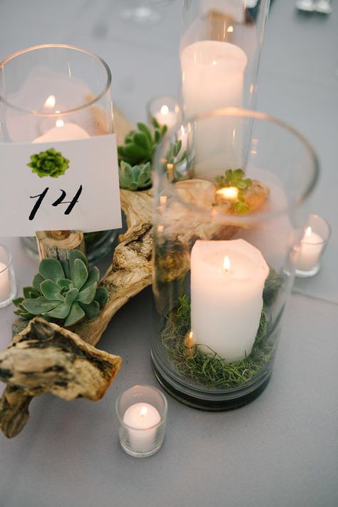 Driftwood, Succulent and Candle Wedding Centerpiece.  Photo by Kelly Lemon Photography.  Design & Planning by New Creations Weddings based out of Seattle.  Floral by Floressence. Driftwood Wedding Centerpieces, Branch Centerpiece, Driftwood Wedding, Lemon Photography, Amber Wedding, Chihuly Garden, Driftwood Centerpiece, Lemon Wedding, Succulent Ideas