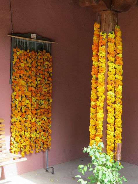 Drying Flowers - Strings of dried marigolds in various stages of drying - So colorful! | Flickr - Photo Sharing! Drying Marigolds, Dried Bougainvillea, Marigold Strings, Dried Marigold, School Mood, Drying Flowers, Altar Art, Mehndi Decor, Altered Book Art