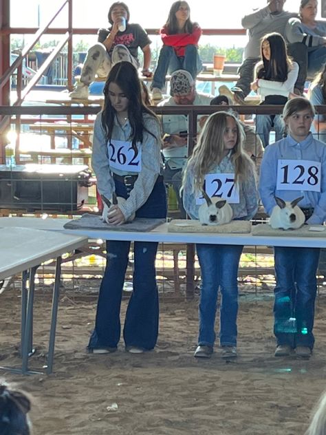 county stock show, market rabbits Showmanship Outfit Livestock, Sheep Showing Outfits, Ffa Show Outfit, 4h Outfits, Showing Livestock Outfits, Show Outfits Livestock, 4-h Aesthetic, Livestock Judging Outfits, Livestock Aesthetic