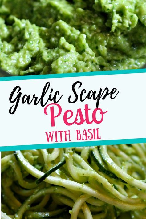 Scape Pesto, Garlic Scape Pesto, Easy Vegetable Recipes, Basil Pesto Recipes, Basil Recipes, Kimchi Recipe, Vegetable Side Dishes Recipes, Side Dish Recipes Easy, Cocktail Recipes Easy