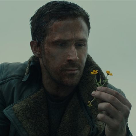 Ryan Gosling as Officer K holding a flower in Blade Runner 2049 Man holding a flower. #bladerunner #movie #actor #flower Ryan Gosling Blade Runner, Blade Runner Wallpaper, Officer K, Ryan Gosling Movies, Runner Quotes, Cheek Fillers, To Be Human, Denis Villeneuve, Райан Гослинг