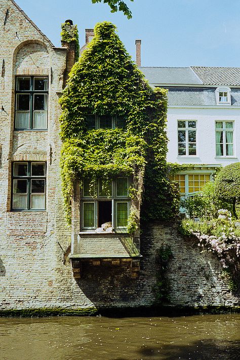 Countryside Interior Design, Countryside Interior, Dog Window, Bruges Belgium, Happy Things, Bedroom Designs, Street Photo, Travel Goals, Oh The Places Youll Go