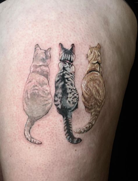 A realistic tattoo of 3 cats, done by @jenskinart. Such intricate details, that one might think this was a photograph rather than a tattoo! Cat Dedication Tattoo, Dead Cat Tattoo, Three Cats Tattoo, 3 Cats Tattoo, Cat Remembrance Tattoo, Realistic Cat Tattoo, Dedication Tattoos, Tatts Ideas, Photo Realism Tattoo