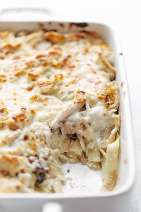 Chicken Tetrazzini - roast chicken, egg noodles, garlic mushrooms, and silky creamy sauce. can't go wrong. #dinner #pasta #easyrecipe #simplerecipe #chicken | pinchofyum.com Tetrazzini Chicken, Turkey Tetrazzini Recipe Easy, Chicken Egg Noodles, Recipes To Feed A Crowd, Turkey Tetrazzini Recipe, Chicken And Egg Noodles, Easy Chicken Tetrazzini, Stew Crockpot, Potatoes Stuffed