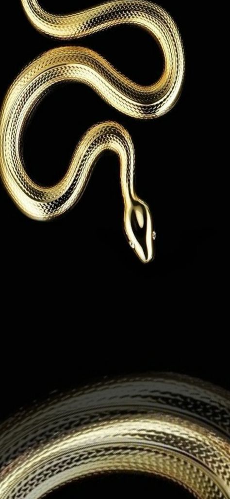 Serpent Queen Aesthetic, Gold Snake Wallpaper, Golden Snake Aesthetic, Gold Snake Aesthetic, Gold Black Aesthetic, Egypt Collage, Spiderman Ps4 Wallpaper, Phone Backround, Gold And Black Background