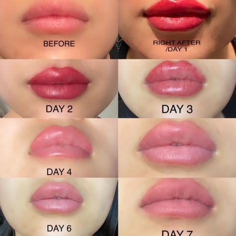 Lip Blush And Filler, Lip Blush On Dark Lips, Lip Blush Colors For Blondes, Lip Blush Natural, Lip Blushing Tattoo Colors Dark Skin, Lip Blushing Healing Process, Lip Blush Color Chart, Lip Blushing Tattoo Before And After Colors, Lip Blushing Tattoo Before And After Healed