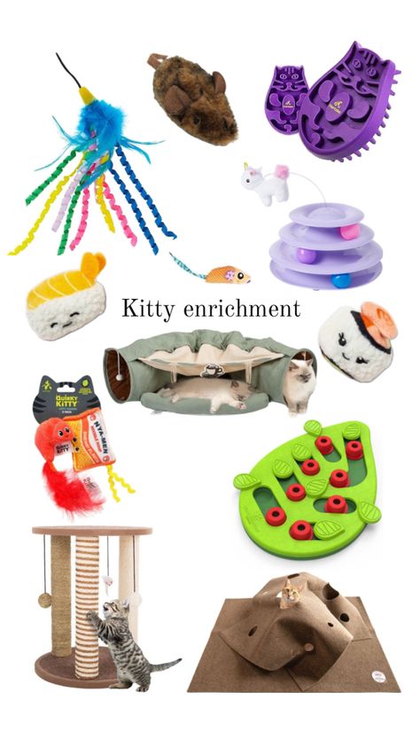 Unleash your cat's inner hunter! 🐯 Keep your kitty entertained with these fun enrichment toys. Hideaway rugs, scratching posts, tunnels, catnip toys, and wands will provide endless hours of playful fun. #cats #catmom #catdad #pets Cat Enrichment, Catnip Toys, Cat Care, Cat Mom, Kitty, Toys