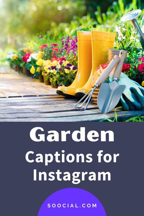 Garden Captions For Instagram, Garden Captions, Therapeutic Activities, Captions For Instagram, Instagram Captions, Green Thumb, Home Garden, Home And Garden, Plants