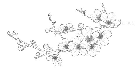 Tips for Creating Inspiring Illustrations of Cherry Blossoms Cherry Blossom Drawing, Sakura Branch, Branch Drawing, Backpiece Tattoo, Sakura Tattoo, Flores Tattoo, Cherry Blossoms Illustration, Branch Tattoo, Flower Line Drawings