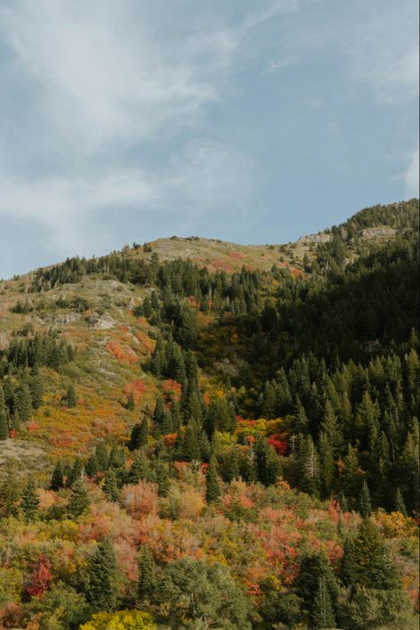 Aesthetic Fall Landscape, Photo Landscape Nature, Fall Travel Aesthetic, Colorado Fall Aesthetic, Fall Mountains Aesthetic, September Scenery, Fall Mountain Aesthetic, Aesthetic Random Pictures, Early Fall Aesthetic