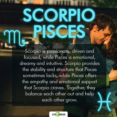 scorpio and pisces Scorpio And Pisces, Pisces Compatibility, Scorpio Man, Pisces And Scorpio, Pisces Woman, Water Signs, Scorpio Men, Emotional Support, Astrology