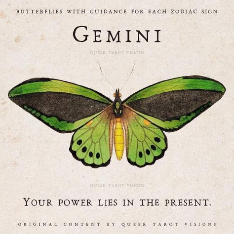 Katherine + Core + Aesthetic, Cottage Core Posters, Gemini Butterfly, Gemini Zodiac Quotes, Gemini Art, Gemini Rising, Gemini Life, Mommy Tattoos, Astrology Gemini