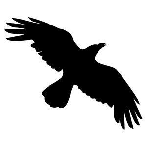 Free stock photos - Rgbstock - free stock images | Silhouette Crow ... - ClipArt Best - ClipArt Best Black Crow Tattoos, Crow Flying, Crow Silhouette, Vogel Silhouette, Crow Tattoo Design, Tato Henna, Dystopian Fiction, Raven Bird, Crow Tattoo