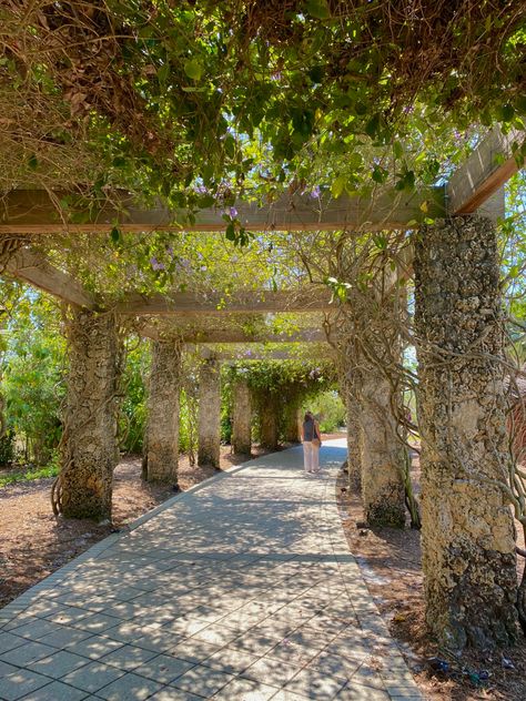 Naples Botanical Garden, Naples Florida Aesthetic, Naples Italy Aesthetic, Botanical Garden Aesthetic, Summer Relationship Goals, Summer Travel Packing List, Naples Aesthetic, Summer In Greece Aesthetic, Summer Ideas With Friends