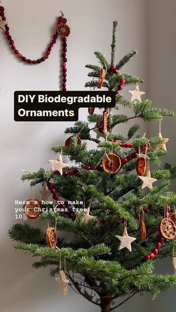 Christmas Eco Friendly Decorations, Biodegradable Christmas Decorations, Sustainable Christmas Ornaments, Eco Friendly Christmas Tree, Sustainable Christmas Decor, Eco Christmas Tree, Sustainable Christmas Tree, Eco Friendly Christmas Decorations, Sustainable Christmas Decorations