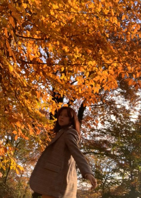 Fall Self Photoshoot, Fall Leaves Picture Ideas, Fall Sunset Photoshoot, Autumn Pic Ideas, Fall Leaves Photoshoot Ideas, Fall Selfie Ideas, Fall Foliage Photoshoot, Fall Poses Photography, Aesthetic Places Background