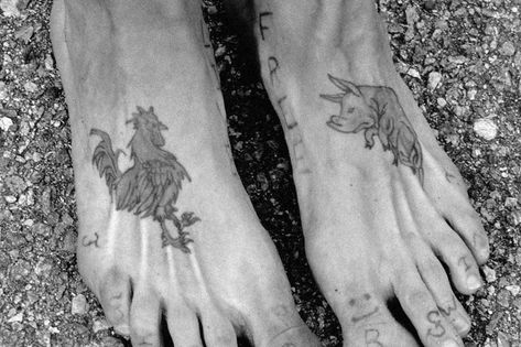 Here are the meanings behind 19 classic sailor tattoos - We Are The Mighty Pig And Chicken Tattoo, Japanese Foot Tattoo, Pig And Rooster Tattoo, Vintage Tattoo Men, Us Navy Tattoos, Men's Tattoo, Navy Tattoos, Chicken Tattoo, Rooster Tattoo