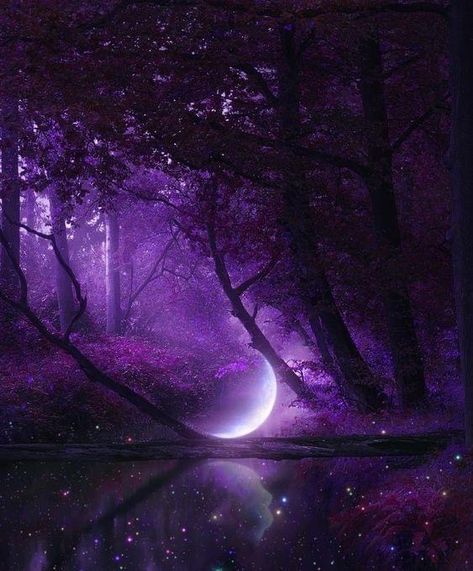 Magic Aesthetic Wallpaper, Fantasy Purple, Purple Forest, Forest Moon, Purple Moon, Forest Background, Lovely Flowers Wallpaper, Magic Aesthetic, Moon Painting