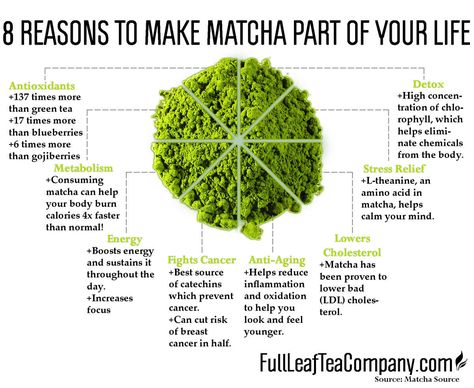 matcha health benefits Matcha Green Tea Benefits, Matcha Health Benefits, Best Matcha Tea, Matcha Tea Benefits, What Is Matcha, How To Make Matcha, Fat Burning Tea, Best Matcha, Green Tea Recipes