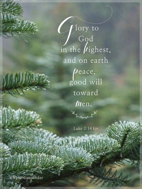 Glory to God in the highest, and on earth peace, good will toward men. Luke 2:14    Peace on earth good will to men. Quotes Liefde, Christmas Verses, Christmas Scripture, Merry Christmas Quotes, Christmas Bible, Glory To God, Christmas Blessings, Christian Christmas, Peace On Earth