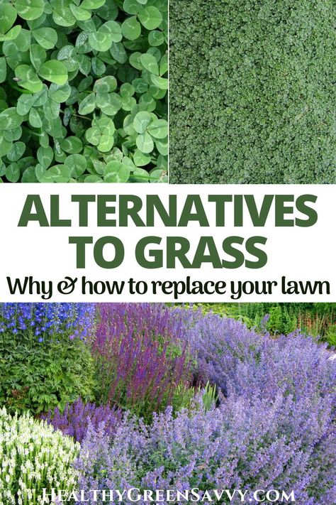 Looking for eco-friendly alternatives to a grass lawn? Grass alternatives can save money, time, and water while reducing the environmental impact of your yard. Converting some (or all!) of your lawn to these eco-friendly grass alternatives is easier than you might think. #grassalternatives #gardening | lawn alternatives | alternatives to grass | groundcovers | eco-friendly landscaping | ecological landscaping | No Grass Garden Ideas Uk, No Upkeep Landscaping, No Water Landscaping Front Yards, Non Grass Front Yard, Maintance Free Landscaping, Grass Free Yard, Grass To Garden Transition, Thyme Lawn Grass Alternative, Native Lawn Alternative