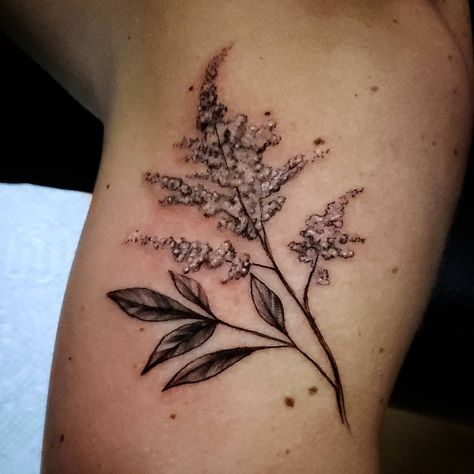 Astilbe Astilbe Tattoo, Astilbe Flower, Angry Wolf, Dream Tattoos, Flower Tattoos, Maple Leaf Tattoo, Flower Tattoo, Sleeve Tattoos, Cool Tattoos