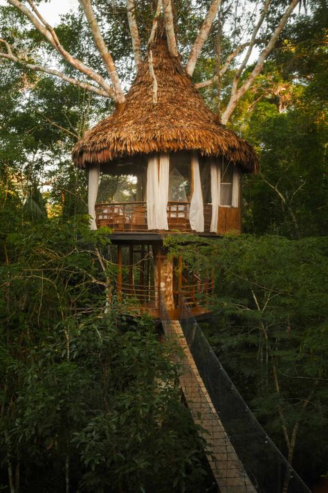 Treehouse Lodge—the only lodge of it’s kind in the Amazon Rainforest—is an all-inclusive, luxury lodge located at the confluence of the serene and protected Yarapa and Cumaceba Rivers near the Pacaya Samiria Reserve. Visit and you’ll see the rainforest from an entirely new perspective that most visitors never experience—the treetop canopy. You’ll never forget the experience of watching monkeys and birds at eye level as every morning you’ll wake up to a safari of animal life before you even get o Unusual Hotels, Treehouse Cabins, Treehouse Hotel, Amazon Forest, Forest Canopy, Unique Hotels, Hot Tub Outdoor, Amazon Rainforest, Machu Picchu