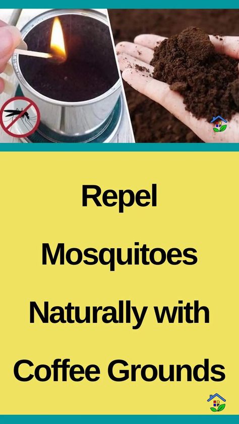 Safely keep mosquitoes away using a natural and cost-effective solution: coffee grounds. Looking to fight off those bothersome and annoying mosquitoes? Time for the secret ingredient that will eliminate them. Coffee grounds to the rescue! I-What You Need: – Coffee waste. – Aluminum foil. – A sealed glass bowl. – A heat source (lighter, matches, […] Patio Mosquito Repellent, Natural Repellent For Mosquitoes, Mosquito Repellent Camping, Natural Mosquito Repellent For Yard, Burning Coffee Grounds For Mosquitos, Coffee Grounds For Mosquitos, Coffee Ground Mosquito Repellent, Coffee Grinds For Mosquitos, Coffee Ground Candles Diy