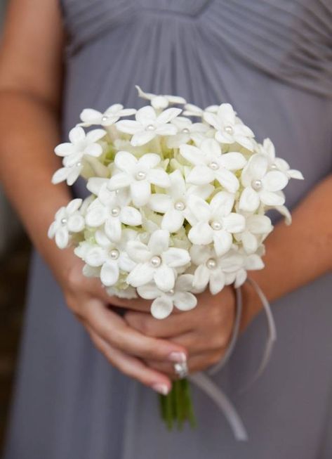 Stephanotis Bouquet, Flower Girl Bouquet, Hand Flowers, Palm Springs Wedding, Wedding Flower Inspiration, White Wedding Flowers, Bridesmaid Flowers, Bride Bouquets, Bridal Flowers